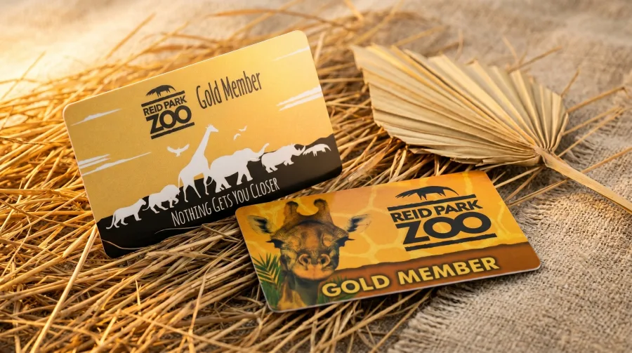 A 30mil plastic business card with a warm gold pearlescent shimmer.